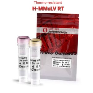 M-MLV Reverse Transcriptase | آنزیم  M-MLV ریورس ترنسکریپتاز پارس توس