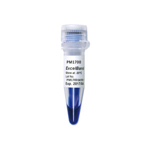 پروتئین مارکر تک رنگ-آبی [PM1600] SMOBIO
