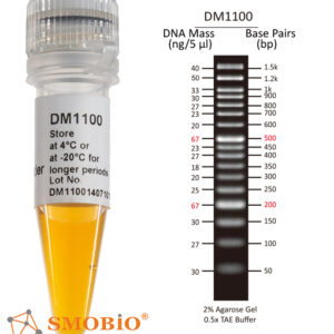لدر DNA 50 bp SMOBIO | SMOBIO 50 bp DNA Ladder