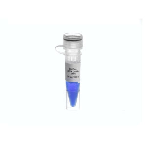 DNA Ladder 1 kb (Ready‑to‑Use, 100–10,000 bp, 500 µl) – سیناکلون